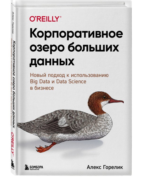 Корпоративное озеро больших данных. Новый подход к использованию Big Data и Data Science в бизнесе