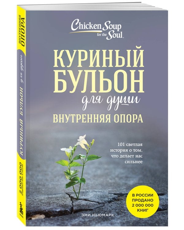 Куриный бульон для души. Внутренняя опора. 101 светлая история о том, что делает нас сильнее