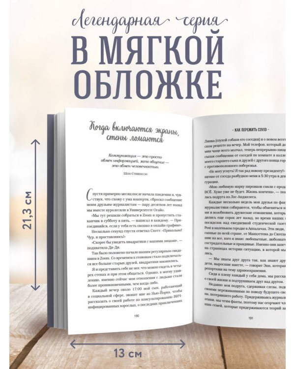 Куриный бульон для души. Внутренняя опора. 101 светлая история о том, что делает нас сильнее