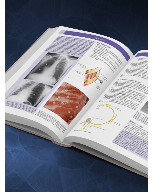 Основы клинической анатомии. Иллюстрированный атлас нозологий и патологий