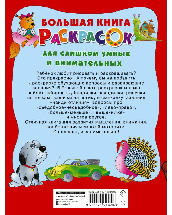 Большая книга раскрасок для слишком умных и внимательных