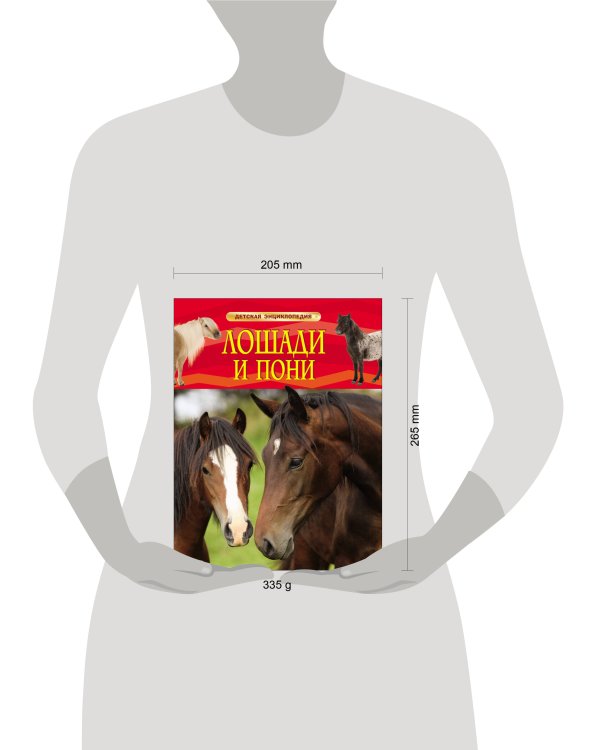 Лошади и пони