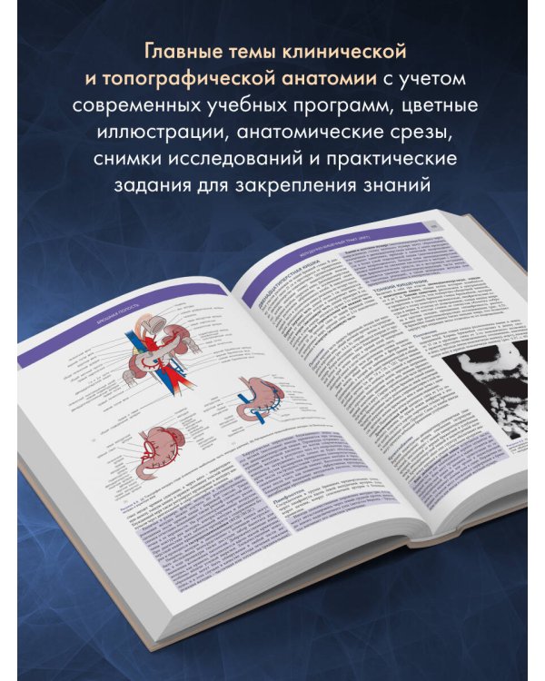 Основы клинической анатомии. Иллюстрированный атлас нозологий и патологий