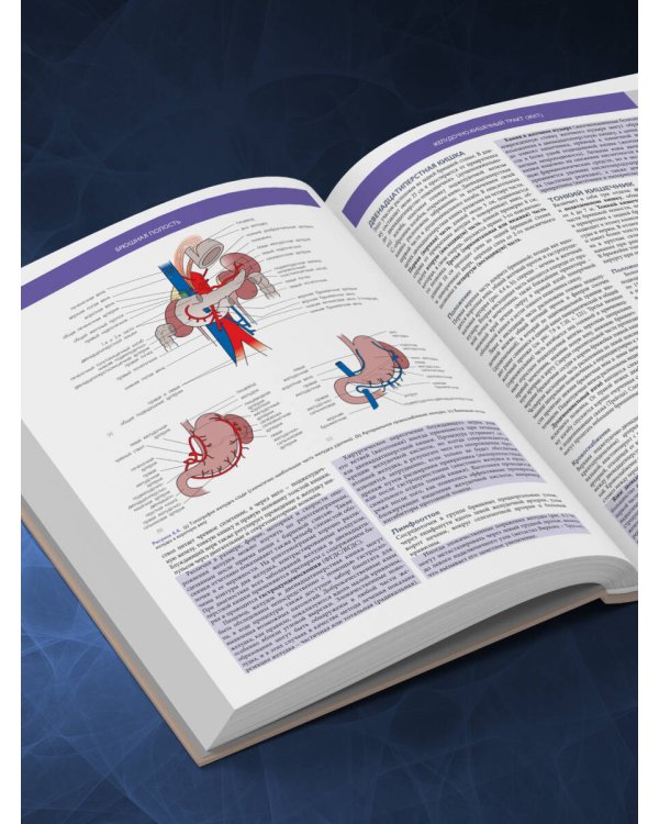 Основы клинической анатомии. Иллюстрированный атлас нозологий и патологий
