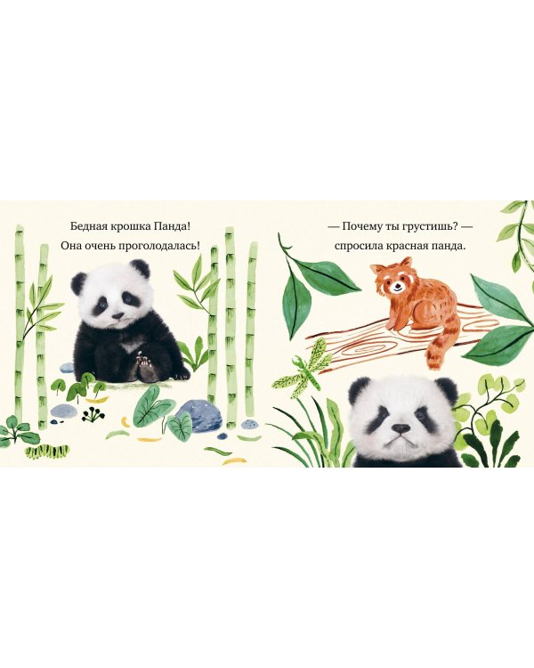 Крошка Панда