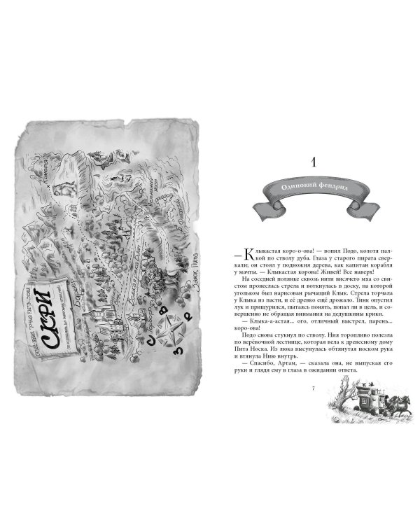 Комплект из 2-х книг: На берегу Тёмного моря+Чёрная Карета