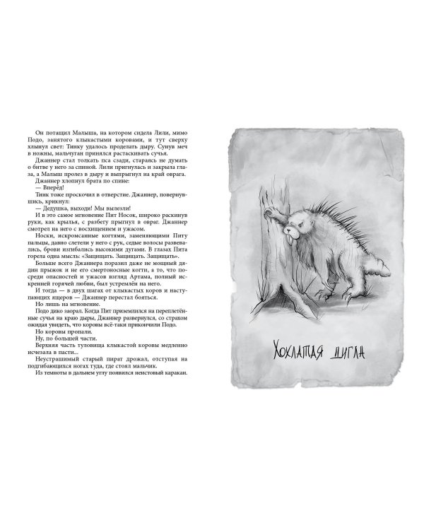 Комплект из 2-х книг: На берегу Тёмного моря+Чёрная Карета