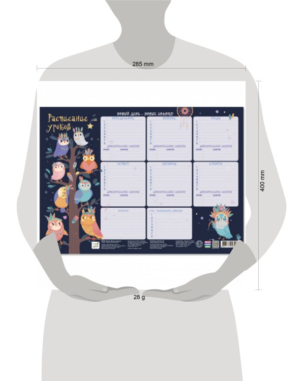 Расписание уроков. Милые совушки. 28,5х40 см. ГЕОДОМ