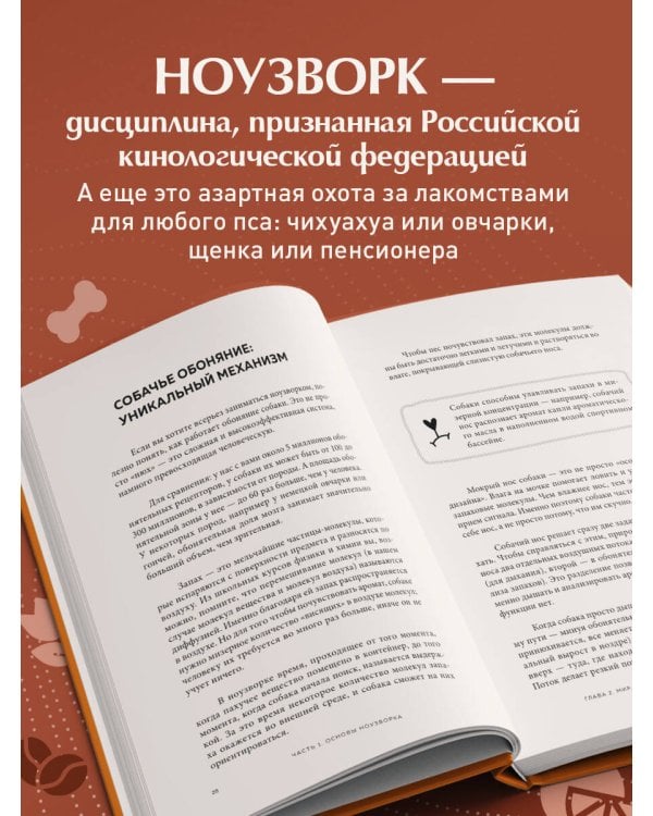 Возьми след! Секреты ноузворка: тренировки для собак