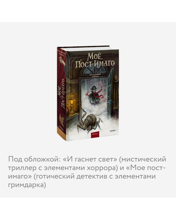 Моё пост-имаго