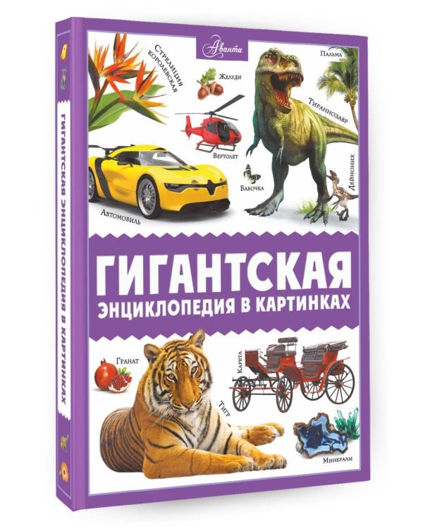 Гигантская энциклопедия в картинках