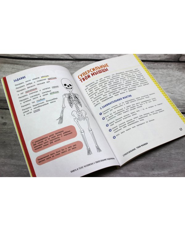 Книга о теле человека с полезными заданиями и упражнениями