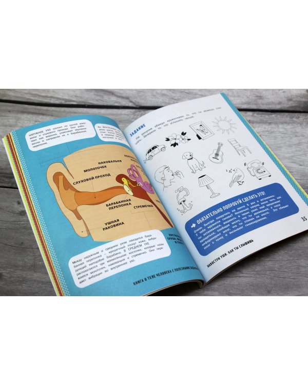 Книга о теле человека с полезными заданиями и упражнениями
