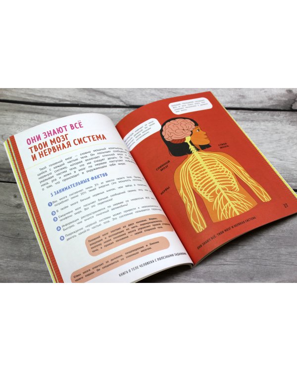 Книга о теле человека с полезными заданиями и упражнениями