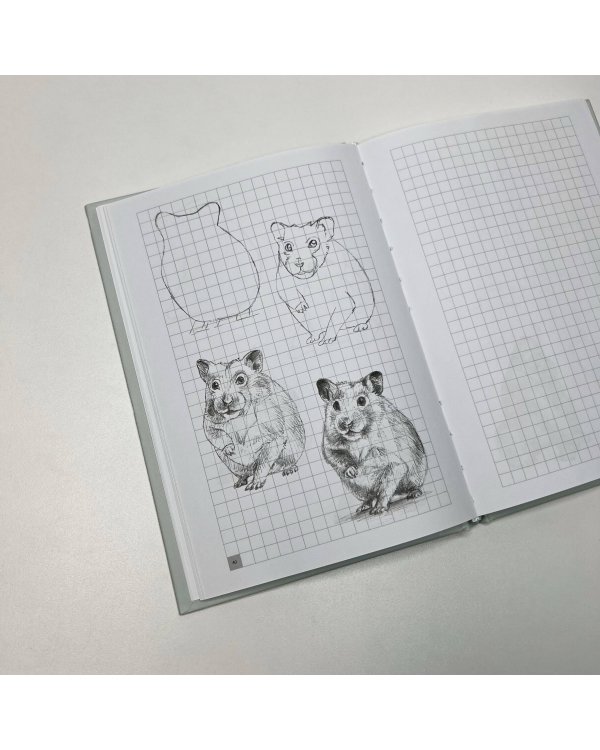 Творческий курс по рисованию. Рисуем животных!