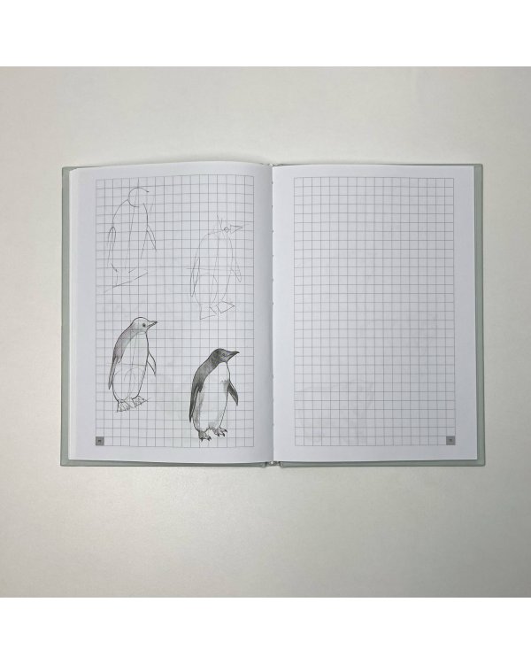 Творческий курс по рисованию. Рисуем животных!