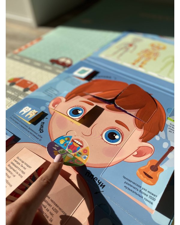 Тело человека