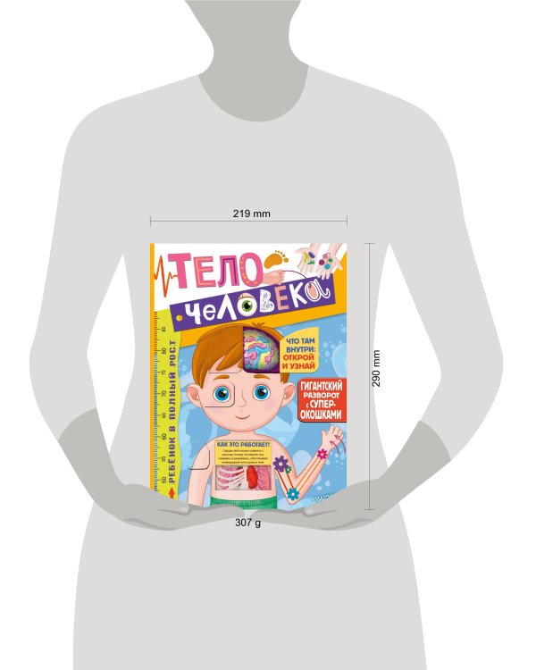 Тело человека