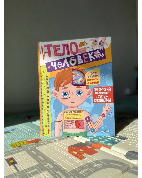 Тело человека