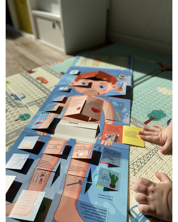 Тело человека