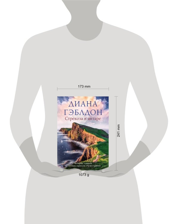 Стрекоза в янтаре