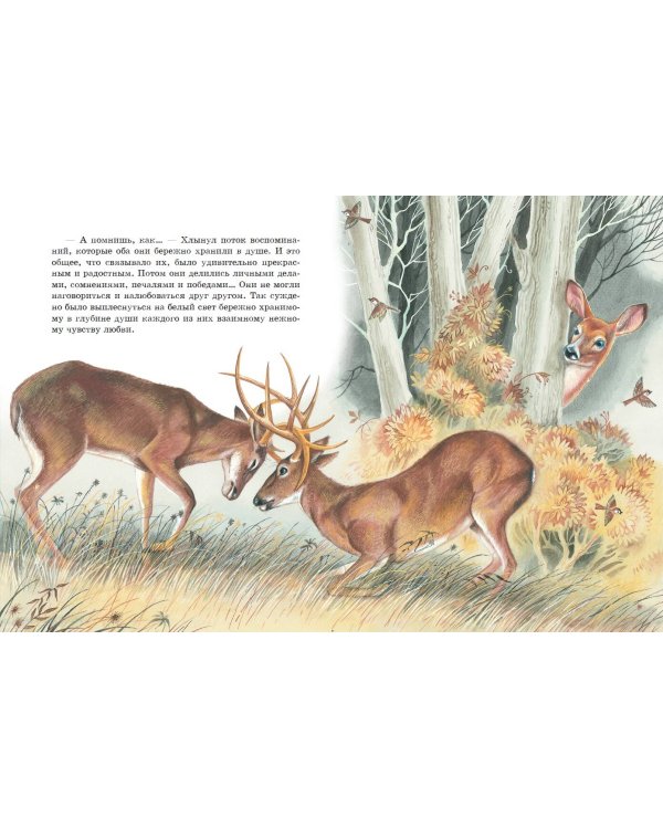 Бемби (ил. М. Митрофанова)