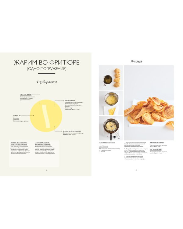 Большая книга повара: Мясо, рыба, овощи. Учимся готовить шедевры