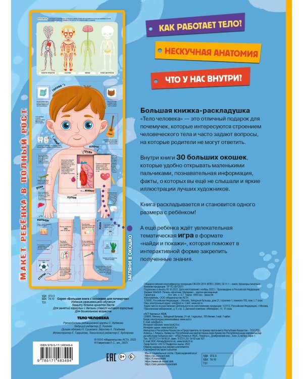 Тело человека