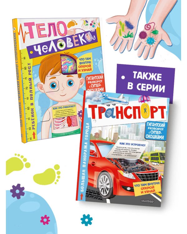 Тело человека