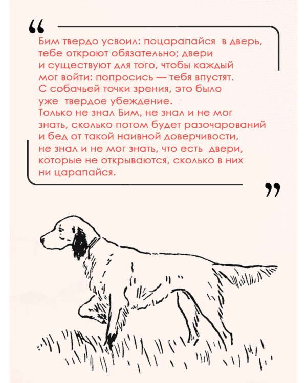 Белый Бим Чёрное ухо