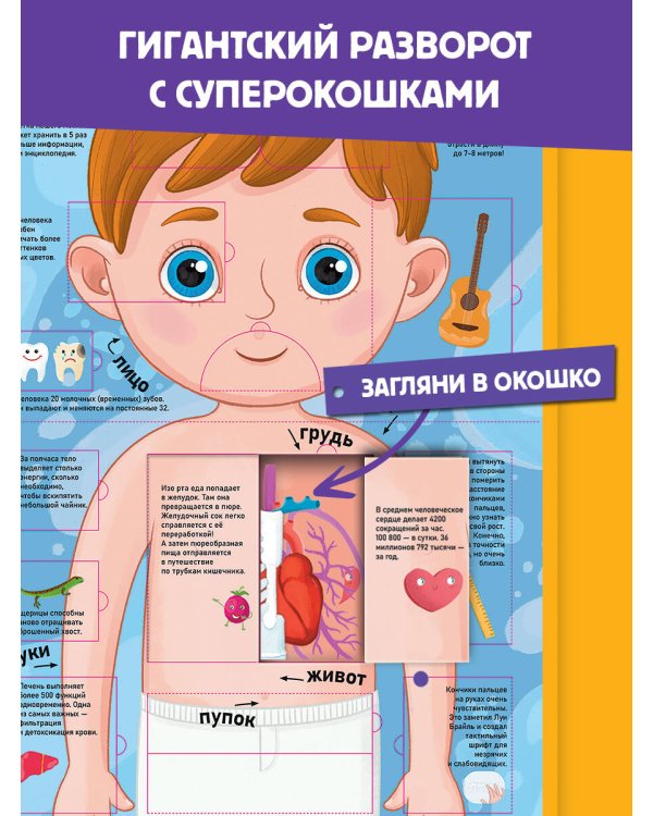 Тело человека