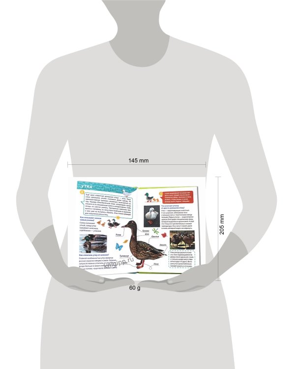 ЭНЦИКЛОПЕДИЯ ДЛЯ МАЛЕНЬКИХ ПОЧЕМУЧЕК. Животные фермы