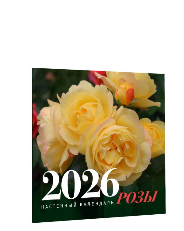 Розы. Настенный календарь на 2026 год