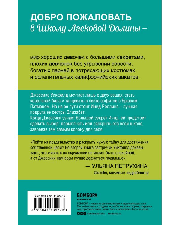 Школа в Ласковой Долине. Секреты (книга №2)