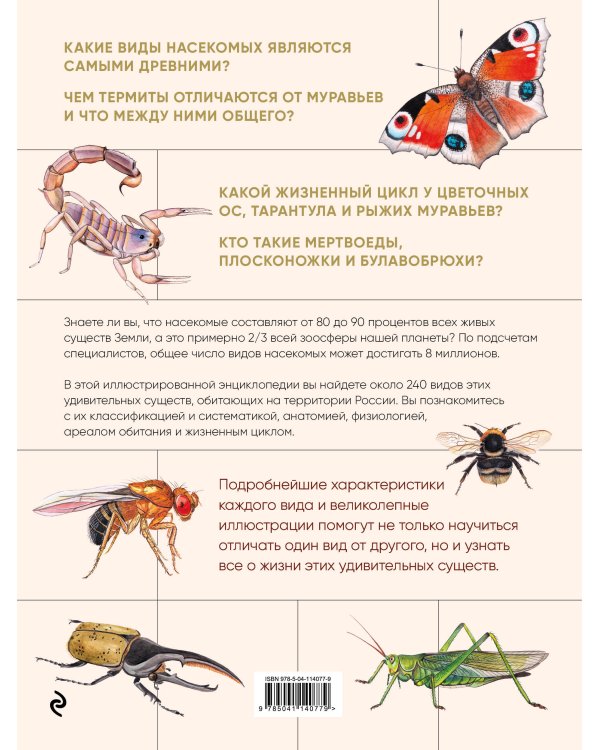 Насекомые. Иллюстрированная энциклопедия начинающего энтомолога. 240 популярных видов, которые обитают рядом с нами