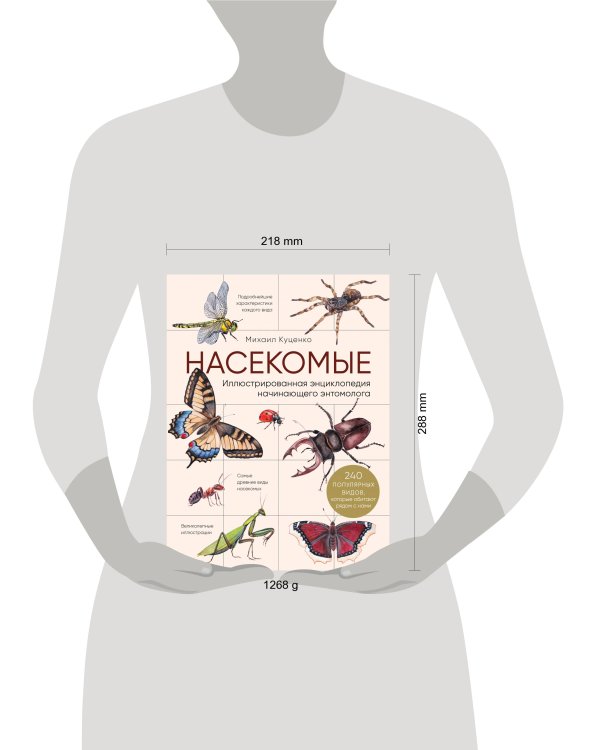 Насекомые. Иллюстрированная энциклопедия начинающего энтомолога. 240 популярных видов, которые обитают рядом с нами