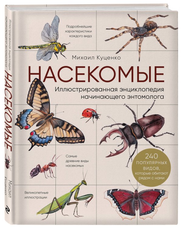 Насекомые. Иллюстрированная энциклопедия начинающего энтомолога. 240 популярных видов, которые обитают рядом с нами