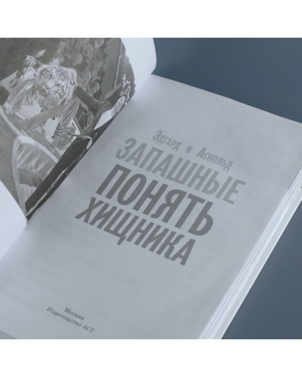 Понять хищника