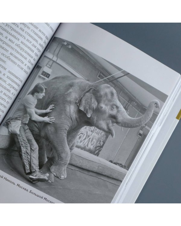 Понять хищника