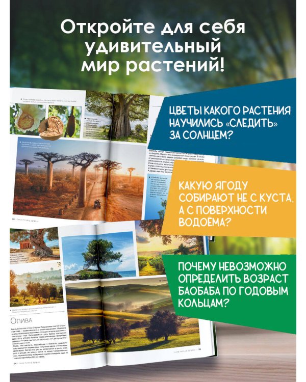 Большая книга о растениях. 1001 фотография