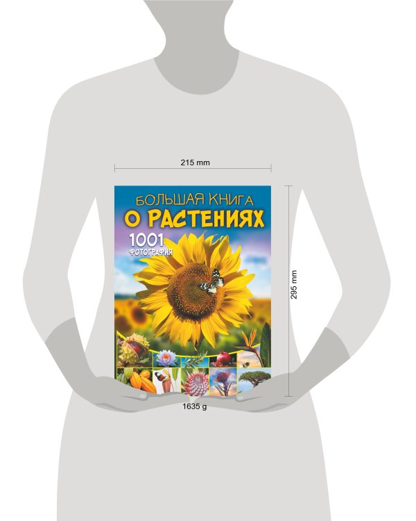 Большая книга о растениях. 1001 фотография