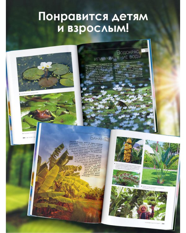 Большая книга о растениях. 1001 фотография