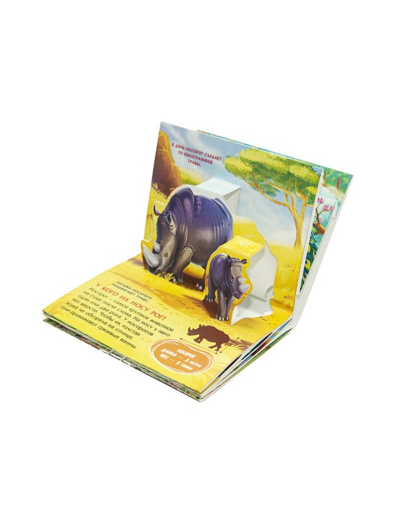 Коллекция карманных POP-UP энциклопедий