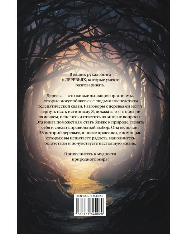 Магия леса. Секреты общения с деревьями
