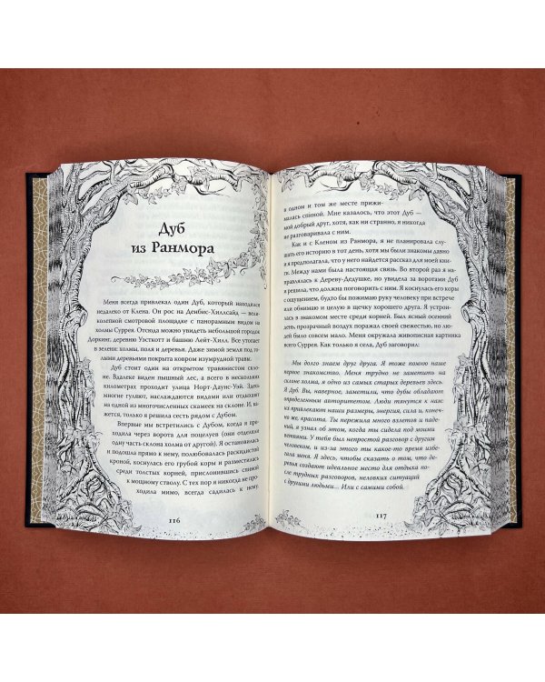 Магия леса. Секреты общения с деревьями