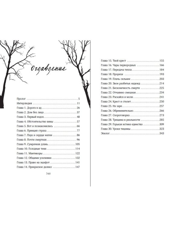 Академия «Терем»