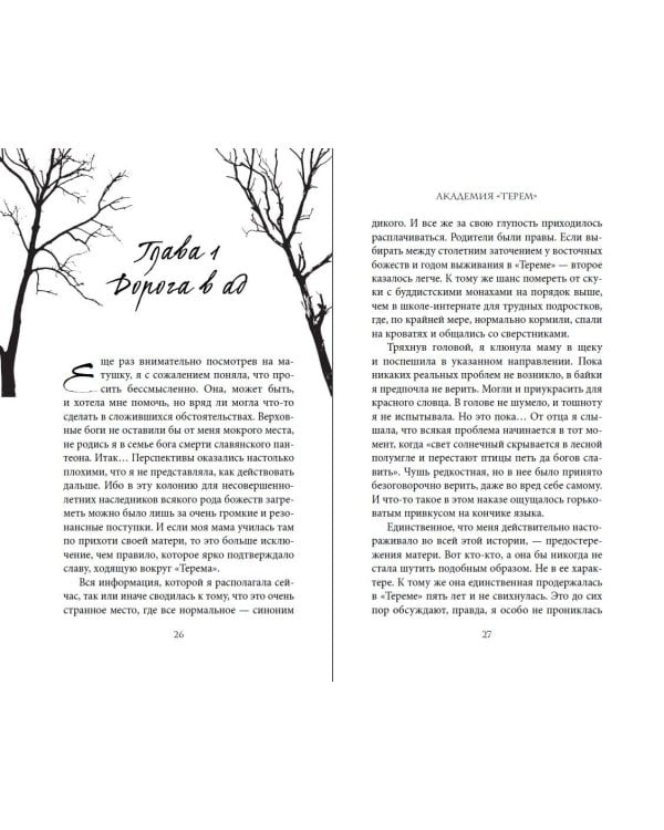 Академия «Терем»