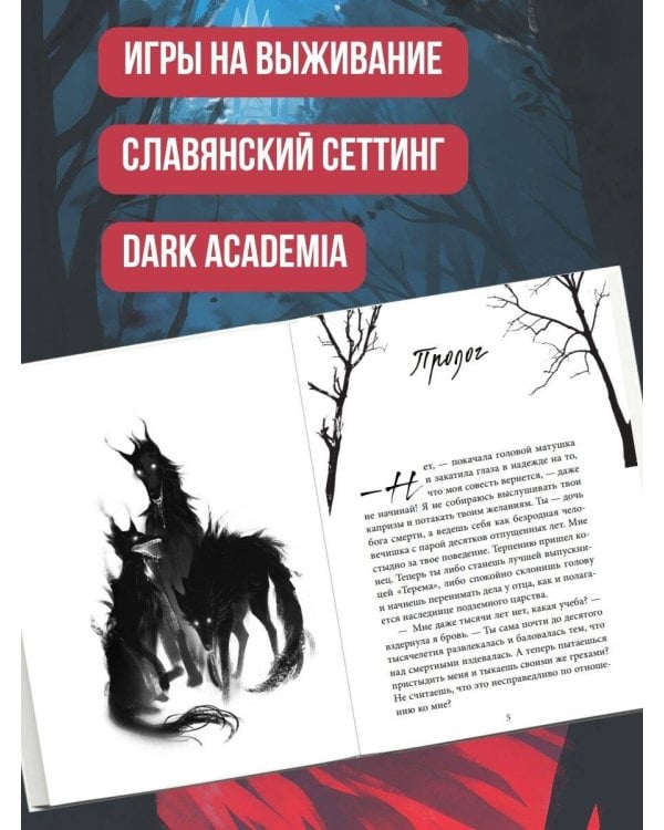 Академия «Терем»