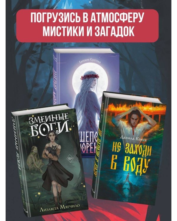 Академия «Терем»