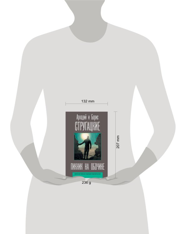 Пикник на обочине